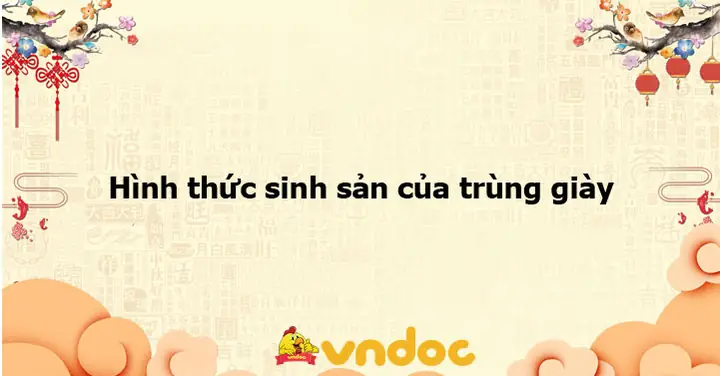 Các Hình Thức Sinh Sản Của Trùng Giày Và Ý Nghĩa Sinh Học Quan Trọng