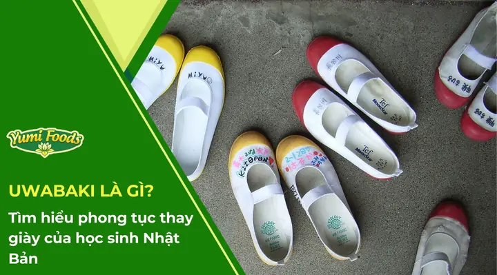 Khám Phá Phong Cách & Quy Tắc: Các Loại Giày Của Học Sinh Nhật Bản