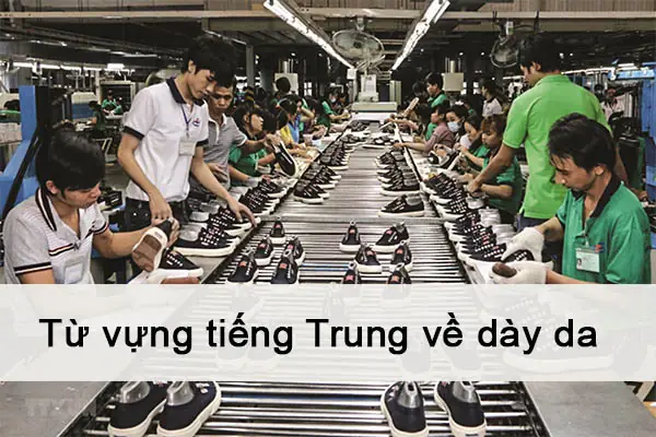 Bảng Thuật Ngữ Các Loại Sơn Trong Ngành Giày: Danh Sách Chi Tiết Từ Tiếng Hoa Và Công Dụng