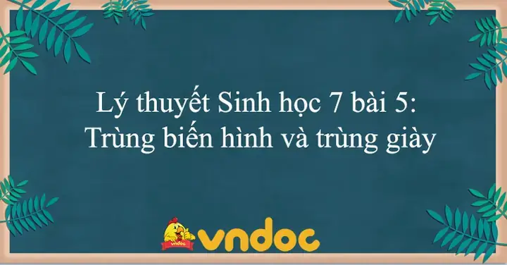 Cẩm Nang Xây Dựng Bài Thuyết Trình Về Bệnh Trùng Giày: Từ Kiến Thức Y Khoa Đến Thực Tế Phòng Ngừa