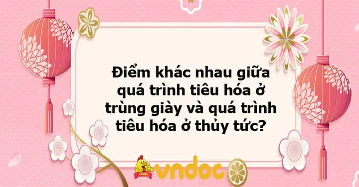Cẩm Nang Xây Dựng Bài Thuyết Trình Về Bệnh Trùng Giày: Từ Kiến Thức Y Khoa Đến Thực Tế Phòng Ngừa