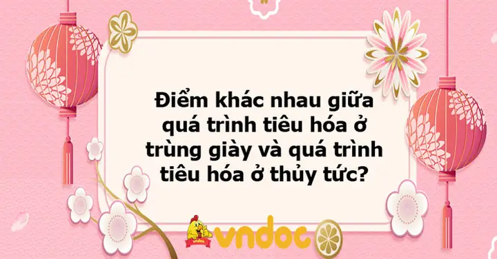 Cẩm Nang Xây Dựng Bài Thuyết Trình Về Bệnh Trùng Giày: Từ Kiến Thức Y Khoa Đến Thực Tế Phòng Ngừa