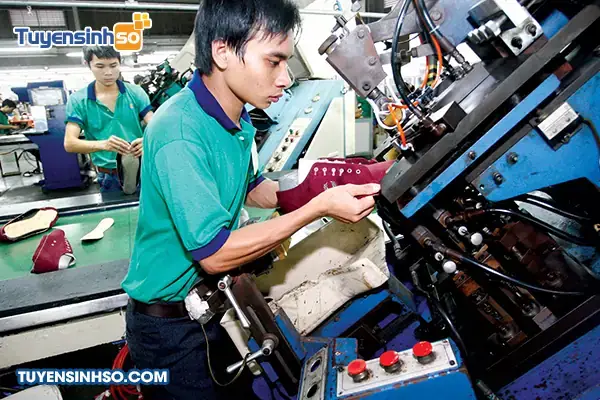 Cẩm Nang Các Môn Học Ngành Công Nghệ Giày Bằng Tiếng Anh Toàn Tập