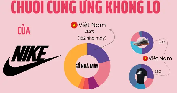 Top 8+ Nhà Máy Sản Xuất Giày Nike Tại Việt Nam Uy Tín Nhất [2026]