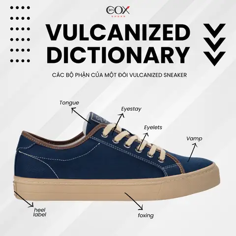 Các Từ Vựng Liên Quan Đến Bộ Phận Giày: Cẩm Nang Chi Tiết Cho Người Đam Mê Sneaker