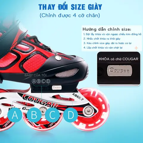 Cẩm Nang Chọn Giày Patin Chuất Cho Người Mới Bắt Đầu