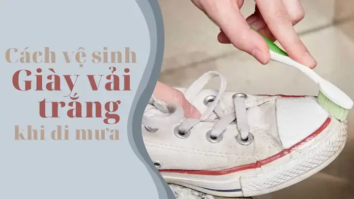 Cách Giặt Giày Vải Trắng Bị Dính Bùn Hiệu Quả Tại Nhà Cách Giặt Giày Vải Trắng Bị Dính Bùn Hiệu Quả Tại Nhà