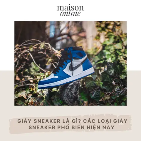 Cẩm Nang Đầy Đủ Về Các Dòng Giày Thể Thao Phổ Biến Hiện Nay