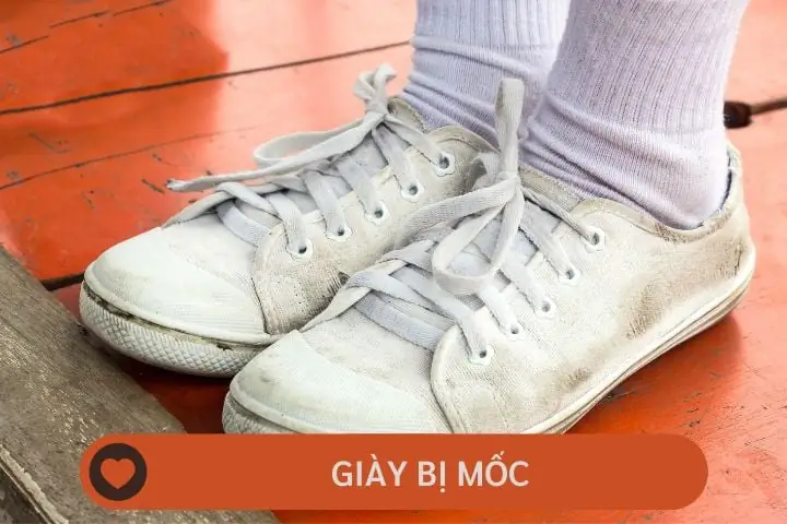 Cách Làm Cho Những Vết Mốc Trên Giày Hết