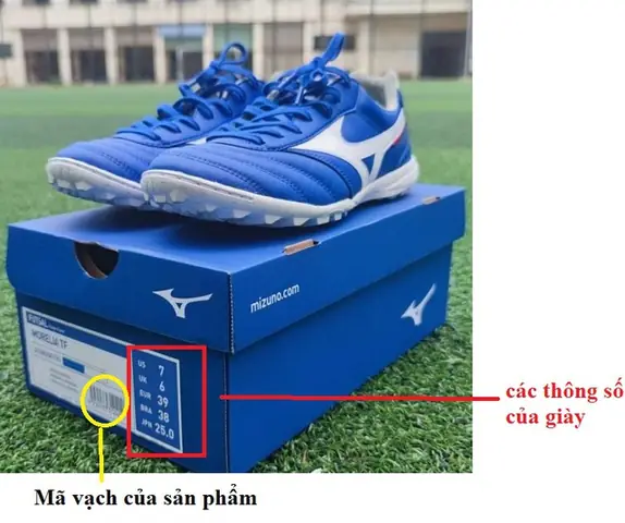 Top 5 Cách Kiểm Tra Giày Thể Thao Mizuno Chính Hãng Chuẩn Xác Nhất