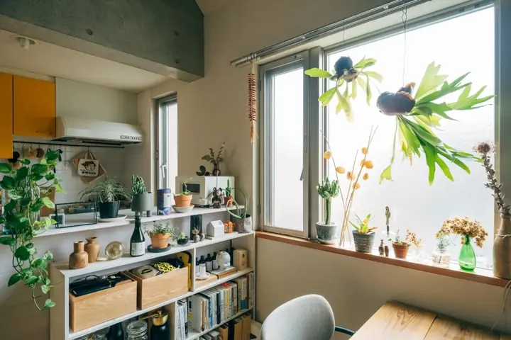 Cách Sắp Xếp Giày Dép Ở Nhật Bản: Nghệ Thuật Tối Giản Và Tinh Thần Zen