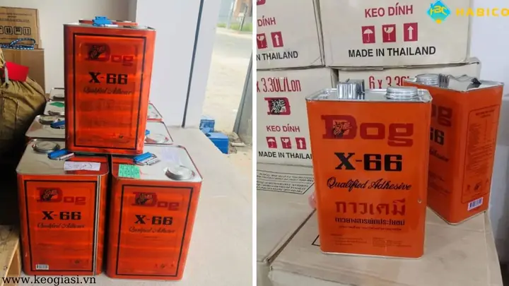 Cách Sử Dụng Keo Con Chó Dán Giày Chi Tiết Và Hiệu Quả Nhất
