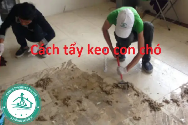 Các Cách Tẩy Keo Con Chó Dính Trên Giày Hiệu Quả Và An Toàn Tại Nhà