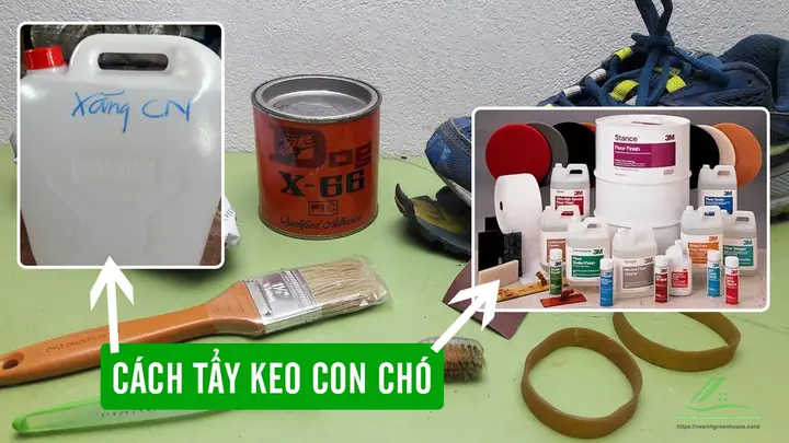 Các Cách Tẩy Keo Con Chó Dính Trên Giày Hiệu Quả Và An Toàn Tại Nhà