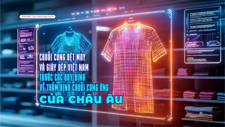 Cách Thức Rà Soát Thị Trường Xuất Khẩu Giày