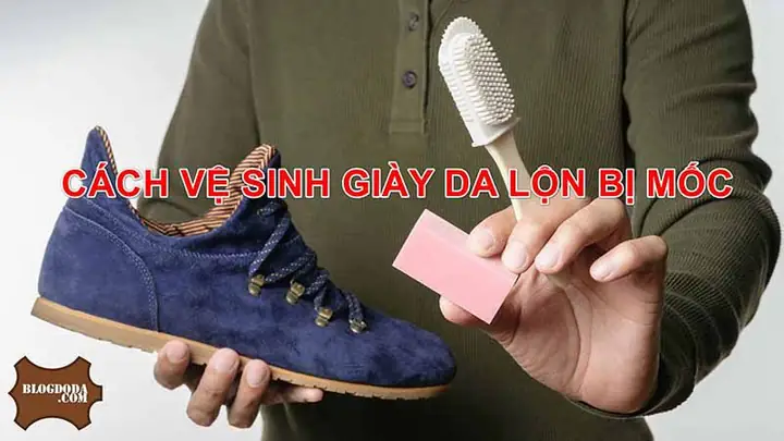 Cách Vệ Sinh Giày Da Lộn Bị Mốc Hiệu Quả Ngay Tại Nhà