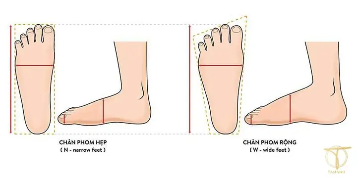 Cách Xem Size Giày Trung Quốc 260, 94, 265, 95: Hướng Dẫn Chi Tiết Và Chuẩn Xác Cách Xem Size Giày Trung Quốc 260, 94, 265, 95: Hướng Dẫn Chi Tiết Và Chuẩn Xác