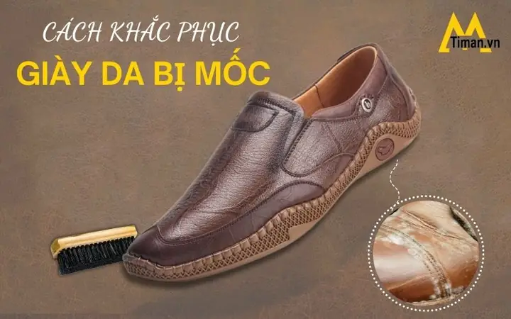 Cách Xử Lý Khi Giày Da Bị Mốc