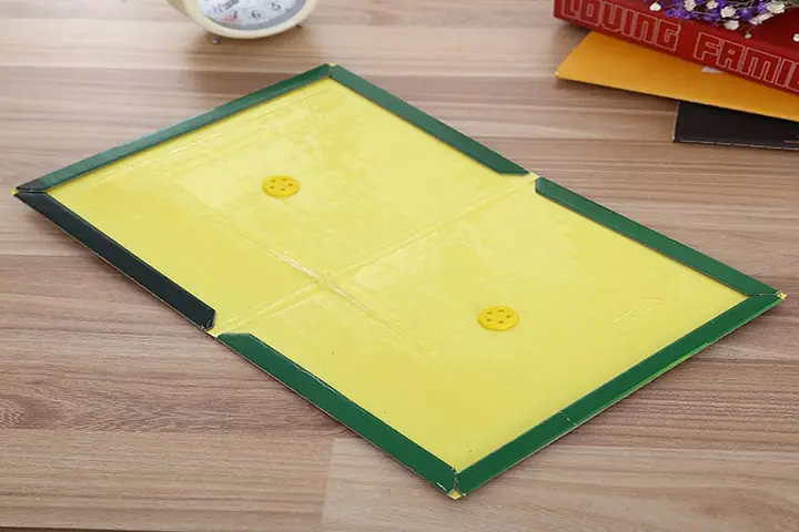 Khám Phá Các Cách Xử Lý Khi Giày Dính Keo Dính Chuột Hiệu Quả Nhất