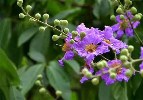 Kiểu Giày Nữ Phổ Biến Phù Hợp Với Từng Hoàn Cảnh Và Dáng Người