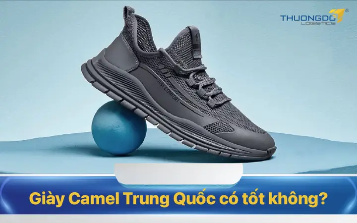 Đánh Giá Chi Tiết Giày Thể Thao Camel: Giải Pháp Chống Gây Tổn Thương Bàn Chân Hiệu Quả?