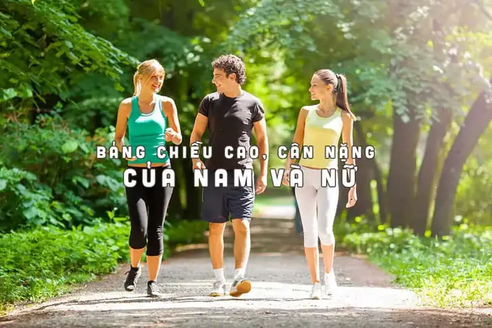 Bảng Size Giày Chi Tiết Cho Người Cao 1m68 Nặng 65kg: Cách Đo Chuẩn Để Chọn Đôi Giày Hoàn Hảo