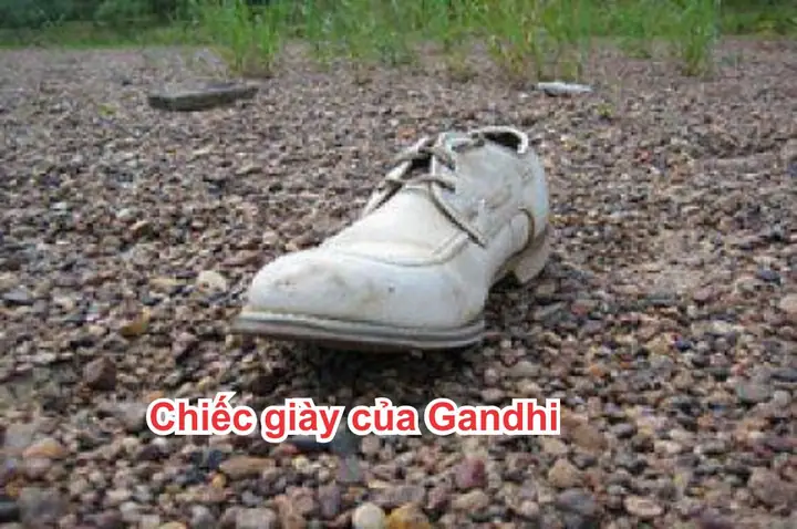 Câu Chuyện Đôi Giày Cho Chúng Ta Bài Học Gì: 7 Góc Nhìn Sâu Sắc Về Cuộc Sống