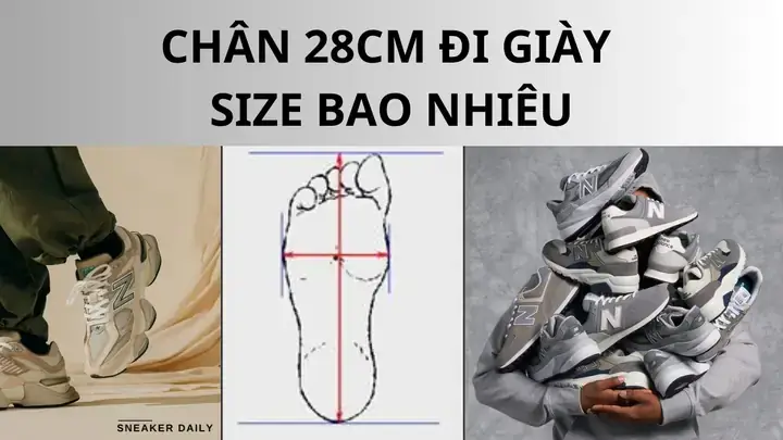 Bảng Size Giày Đá Bóng Chuẩn Cho Chân 28cm: Lựa Chọn Thông Minh Cho Từng Dòng Sản Phẩm