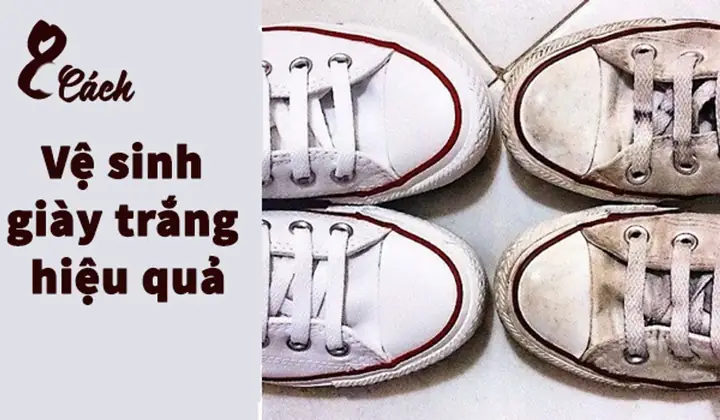 Top 10+ Địa Chỉ Làm Sạch Giày Adidas Uy Tín, Giá Tốt Nhất Tại Hà Nội