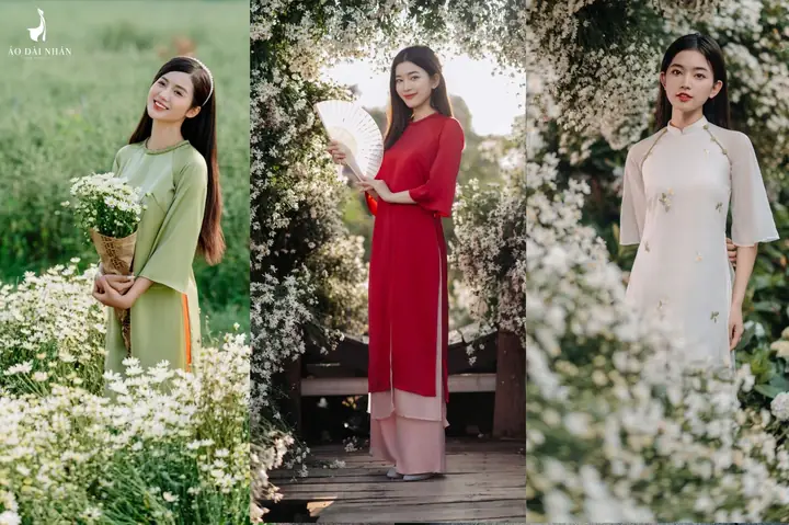 Top 10 Dịch Vụ Cho Thuê Giày Cao Gót Áo Dài Uy Tín Nhất Tại Hà Nội