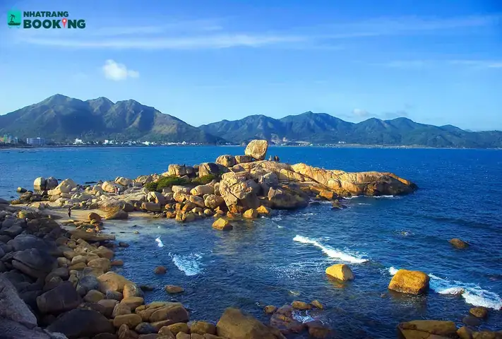 Top 5 Dịch Vụ Cho Thuê Giày Cao Gót Ở Nha Trang Uy Tín, Giá Rẻ