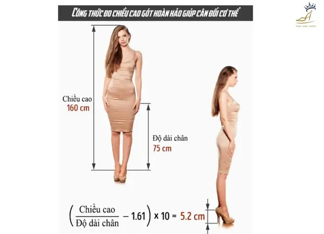 Cẩm Nang Toàn Diện: Cách Chọn Giày Cao Gót Phù Hợp Với Mọi Vóc Dáng