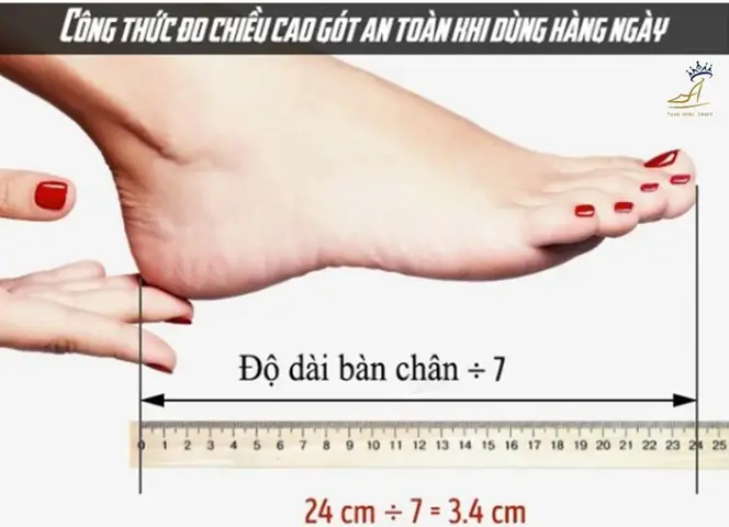 Cẩm Nang Toàn Diện: Cách Chọn Giày Cao Gót Phù Hợp Với Mọi Vóc Dáng