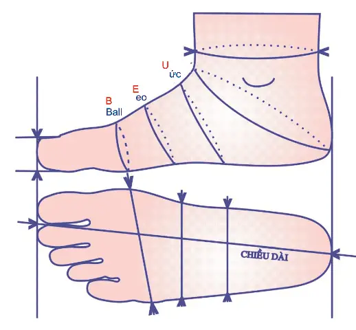 Bảng Size Giày Bitis Và Adidas: Cách Chọn Size Chuẩn Để Không Bị Lệch