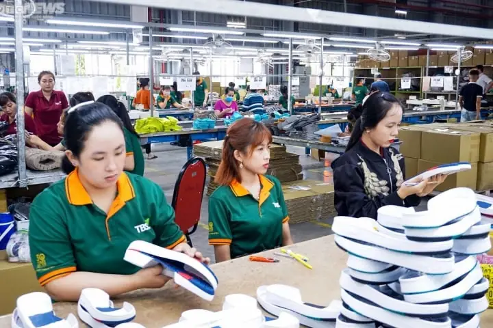 Đánh Giá Chi Tiết Vai Trò Và Ảnh Hưởng Của Chủ Tịch Hiệp Hội Da Giày Việt Nam Đối Với Ngành Công Nghiệp