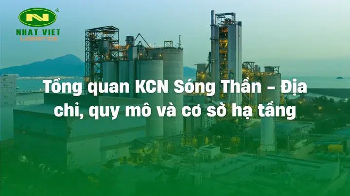 Top 10 Công Ty Giày Dép Uy Tín Và Chất Lượng Nhất Hiện Nay