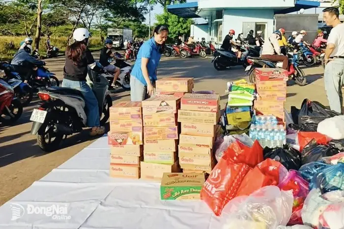 Đánh Giá Chi Tiết Công Ty Sản Xuất Giày Dép Grand Gain
