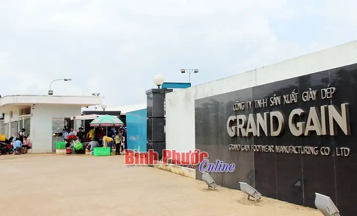 Đánh Giá Chi Tiết Công Ty Sản Xuất Giày Dép Grand Gain