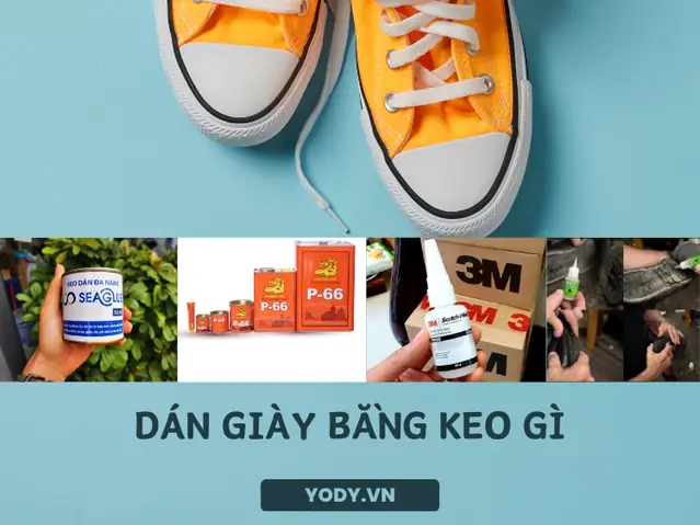 Dán Đế Giày Thể Thao Bằng Keo Gì? Top 5 Loại Keo Chuyên Dụng Và Hướng Dẫn Chi Tiết