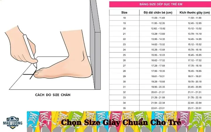 Top 10+ Địa Chỉ Bán Giày Đá Bóng Uy Tín Tại Tp.hcm Cho Người Chơi Phong Trào Và Chuyên Nghiệp