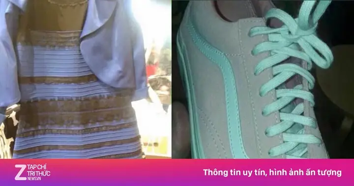 Top 10+ Mẫu Giày Hot Trend 2026: Đánh Giá Chi Tiết & So Sánh Cực Chất