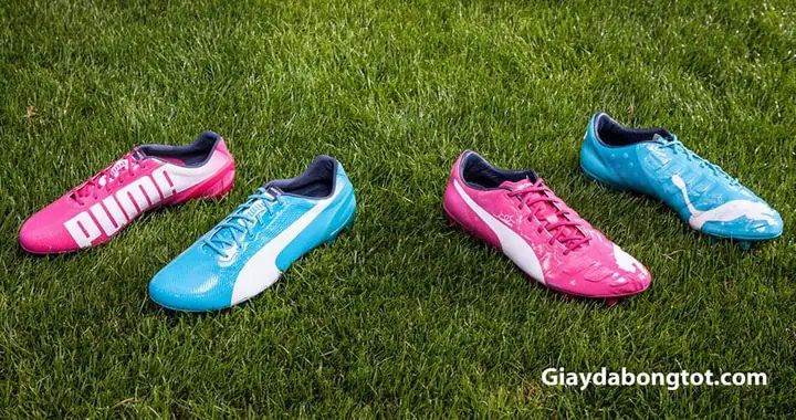 Đánh Giá Chi Tiết Giày Bóng Đá Puma Evopower Tf 2 Màu Xanh Hồng