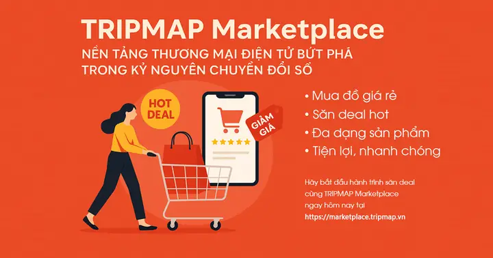 Top 10 Giày Thể Thao Nữ Đế Cao Hàn Quốc: Phối Đồ Đẹp, Năng Động Và Sang Chảnh