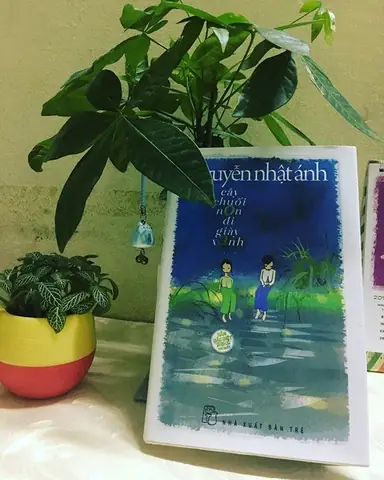 Review Sách Cây Chuối Non Đi Giày Xanh: Hành Trình Trở Về Nơi Gốc Rễ Review Sách Cây Chuối Non Đi Giày Xanh: Hành Trình Trở Về Nơi Gốc Rễ