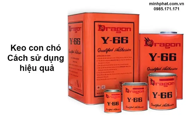 Review Keo Con Chó Dán Giày: Đánh Giá Chi Tiết Từ A-z