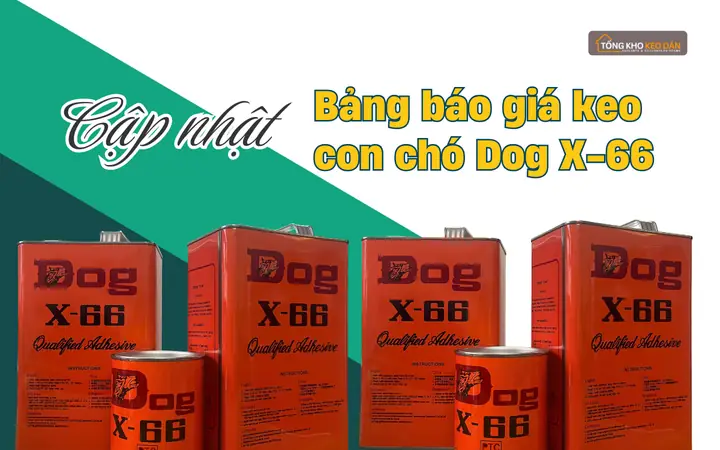 Đánh Giá Chi Tiết Keo Con Chó Dán Giày: Top 5 Loại Nào Bền Nhất, Giá Bao Nhiêu?