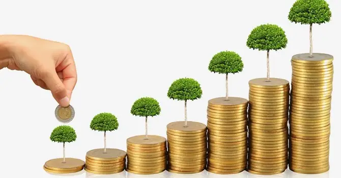 Kinh Nghiệm Mở Shop Giày Thể Thao: Bao Nhiêu Vốn Là Đủ?