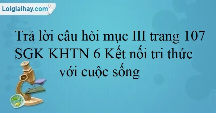 Quan Sát Trùng Giày Dưới Kính Hiển Vi: Những Bí Ẩn Gì Đang Ẩn Nấp?