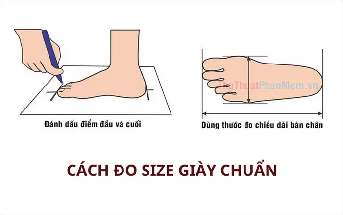 Bảng Quy Đổi Size Giày Hàn Quốc Sang Việt Nam: Cẩm Nang Toàn Tập Cho Người Mua Sắm Thông Thái
