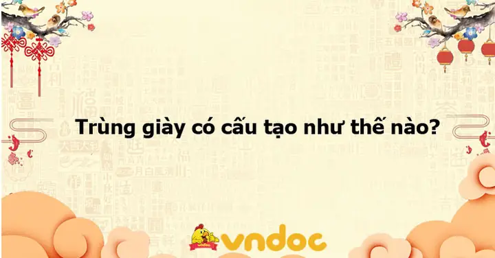 Cấu Tạo Của Trùng Giày: Giải Đáp Chi Tiết Cho Học Sinh Lớp 7